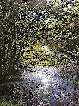 Naturerlebnis Wistlberg